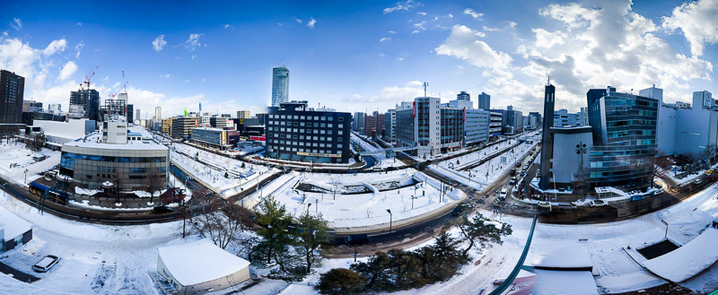 A nice view from the top of the Sapporo tower.